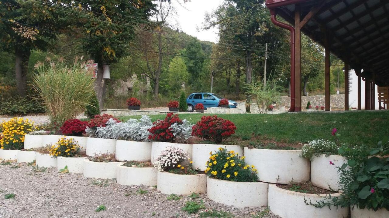Apartmani Gmitrovic Rtanj Kültér fotó